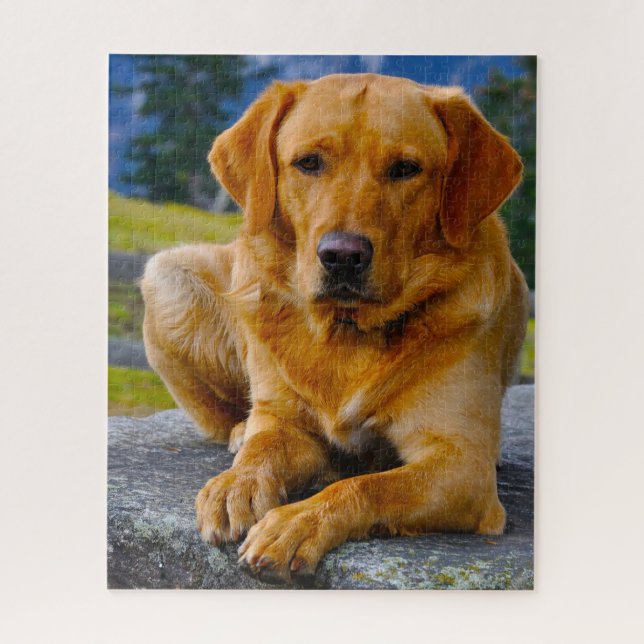 Labrador Dog. Jigsaw Puzzle (Vertical)