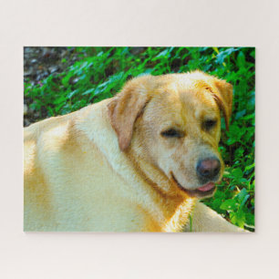 Labrador Dog. Jigsaw Puzzle