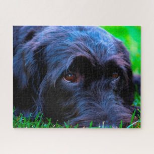 Labrador Dog. Jigsaw Puzzle