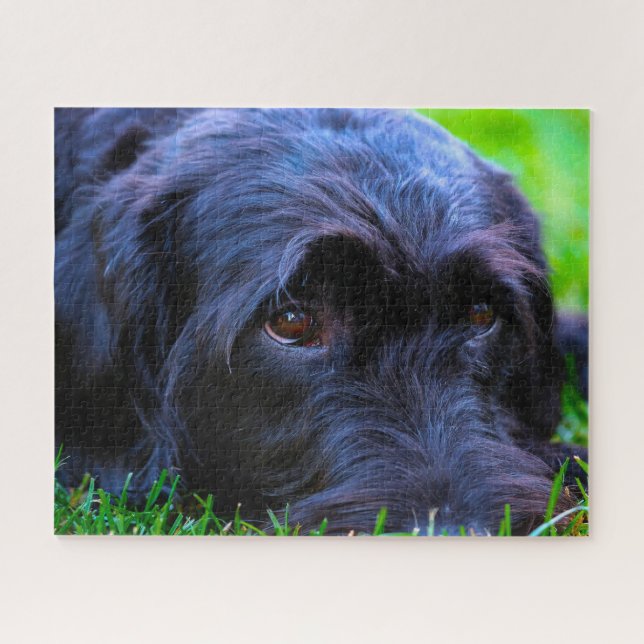 Labrador Dog. Jigsaw Puzzle (Horizontal)