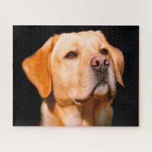 Labrador Dog. Jigsaw Puzzle