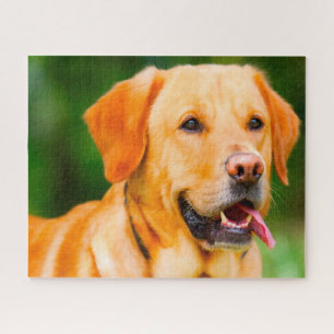Labrador Dog. Jigsaw Puzzle