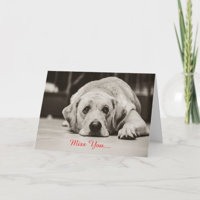 Labrador Dog Miss you Greeting Card (Front)
