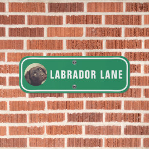 Labrador Dog Photo Template Street Themed Metal Sign