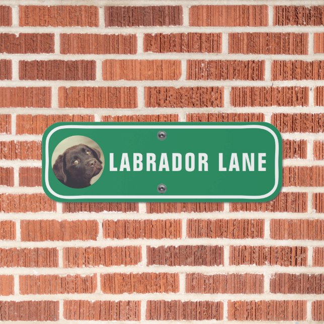 Labrador Dog Photo Template Street Themed  Metal Sign (In Situ(Brick))
