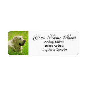 Labrador Dog Return Address Label