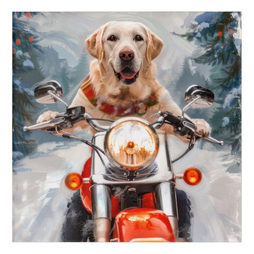 Labrador Dog Riding Motorcycle Christmas Acrylic Print