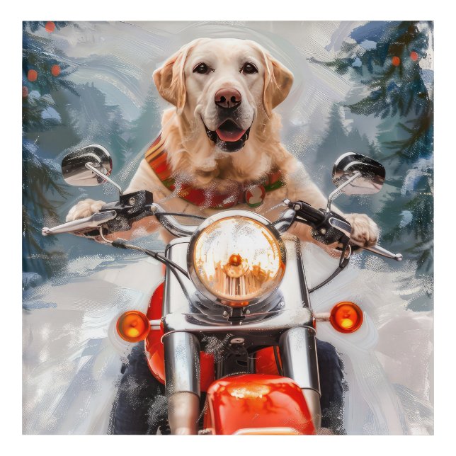 Labrador Dog Riding Motorcycle Christmas Acrylic Print (Front)