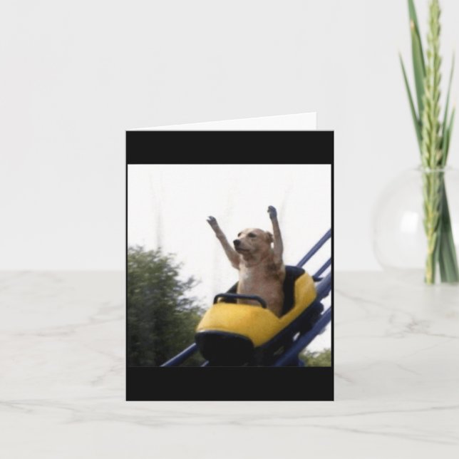 Labrador Dog Roller Coaster Funny Meme Card (Front)