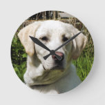 Labrador Dog Round Clock at Zazzle