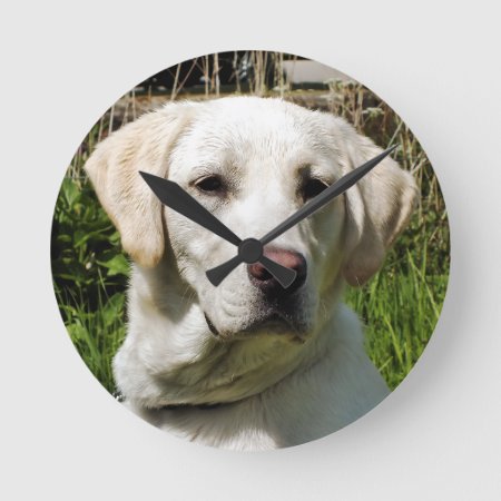 Labrador Dog Round Clock