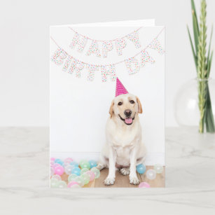 Labrador dog wearing party hat birthday card