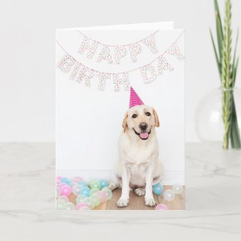 Labrador Dog Wearing Party Hat Birthday Card by roughcollie at Zazzle