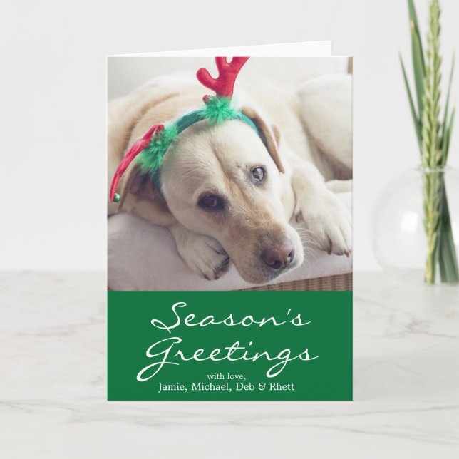 Labrador dog with Christmas ears Holiday Card (Front)