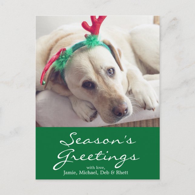 Labrador dog with Christmas ears Holiday Postcard (Front)
