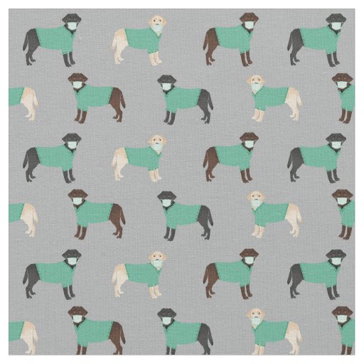 Labrador dogs in scrubs grey fabric