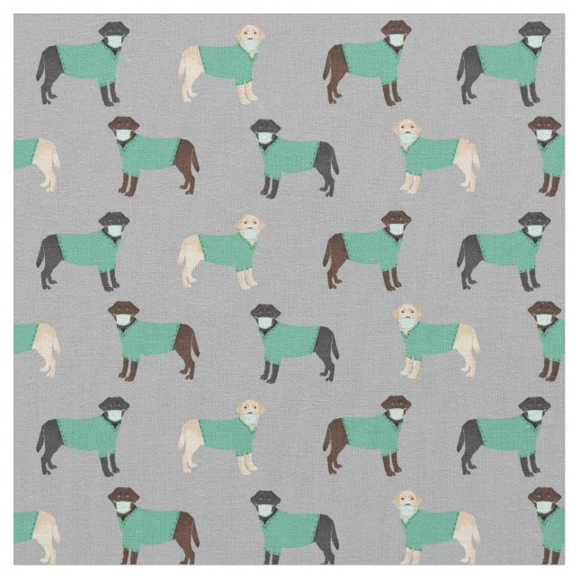 Labrador dogs in scrubs grey fabric (Close Up)