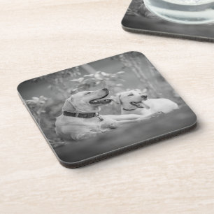 LABRADOR DOGS RELAXING BEVERAGE COASTER