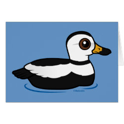 Labrador Duck (swim) Greeting Card