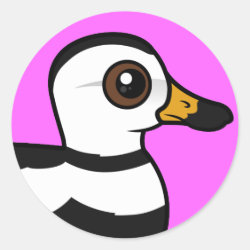 Labrador Duck (swim) Round Sticker