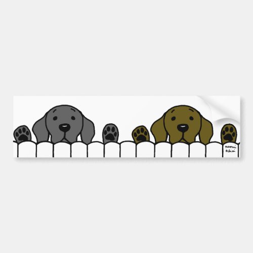 Labrador Duo Watching You Bumper Sticker