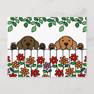 Labrador Duo Watching You Postcard