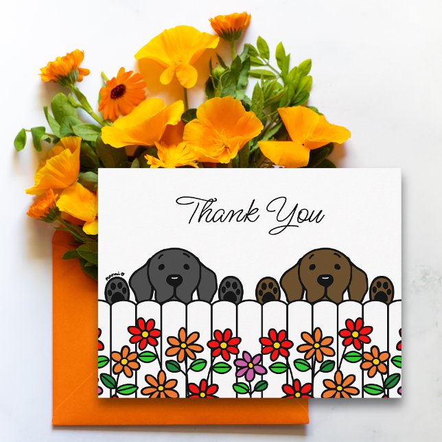 Labrador Duo Watching You Thank You Postcard (Labrador Watching You Thank You Postcard for Labrador Owners.  Black Lab and Chocolate Lab Design.)
