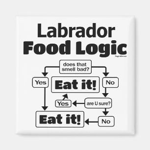 Labrador Food Logic Magnet