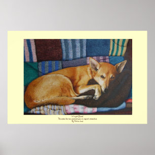 labrador german shepherd mixed breed dog poster