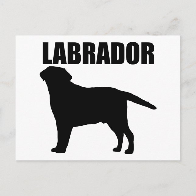 Labrador Gifts! Postcard (Front)
