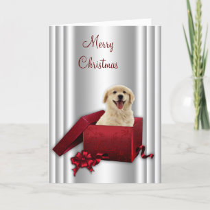 Labrador Golden Retriever Christmas Cards