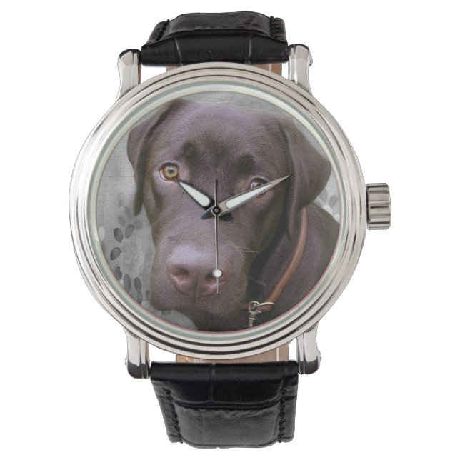 Labrador Jimmy Watch (Front)