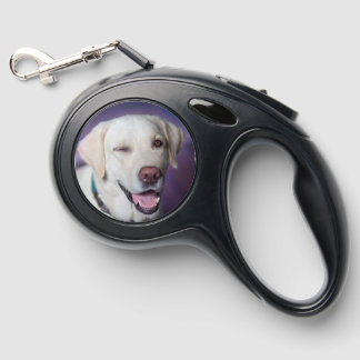Labrador "Love You" Cross Retractable & Strong Retractable Pet Leash