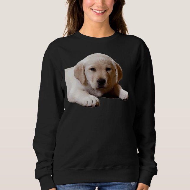 Labrador Nap Time Sweatshirt (Front)