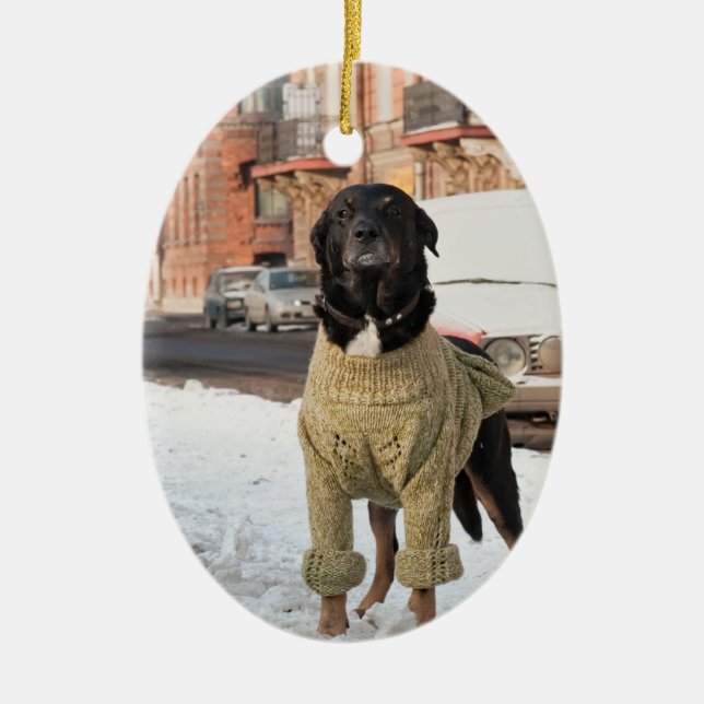Labrador Photo Christmas Ornament (Front)