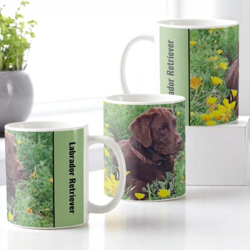 Labrador Photo Placeholder Side Handle Text 