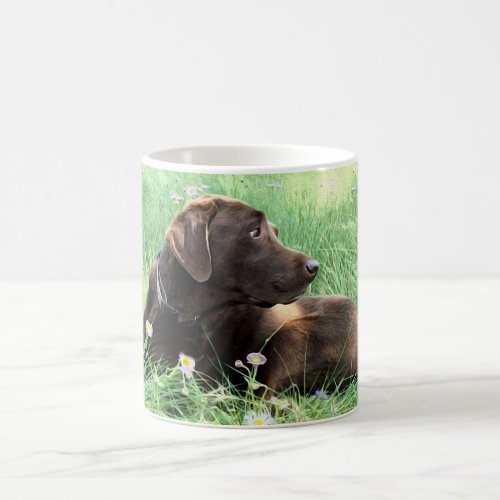 Labrador Photo Placeholder Side Handle Text  Coffee Mug
