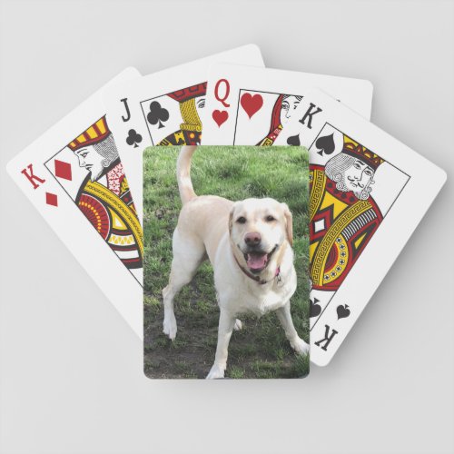 Labrador Playing Cards