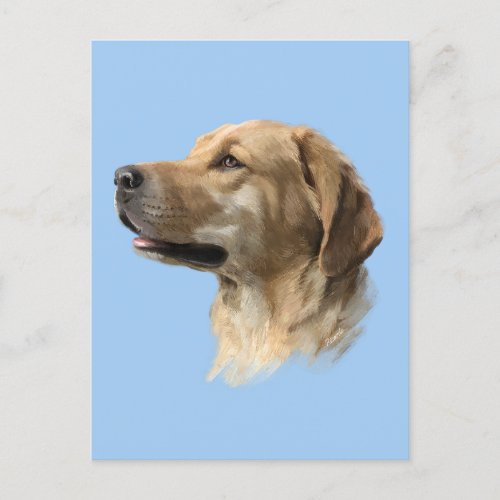 Labrador Postcard