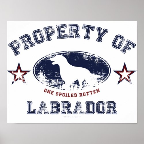 Labrador Poster