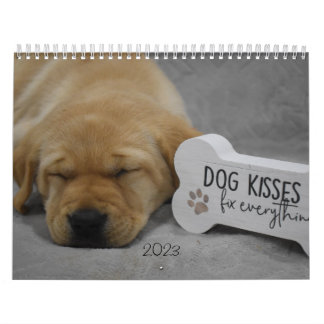 Labrador Puppies Calendar