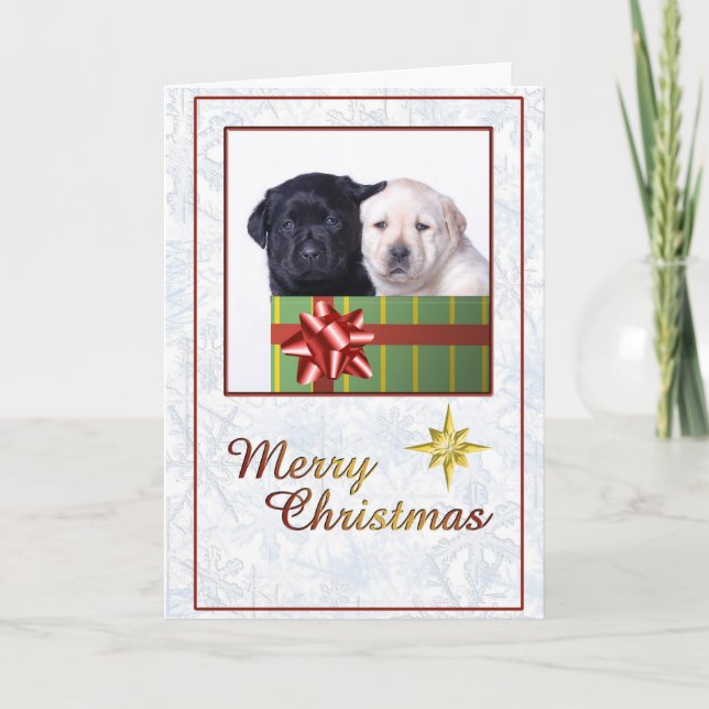 Labrador puppies christmas card (Front)