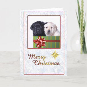 Labrador puppies christmas card