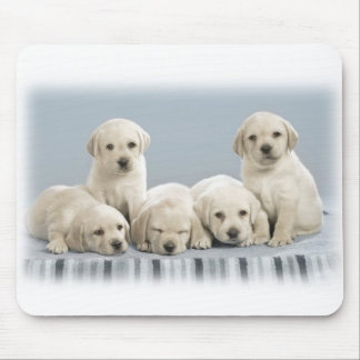 Labrador puppies mouse pad
