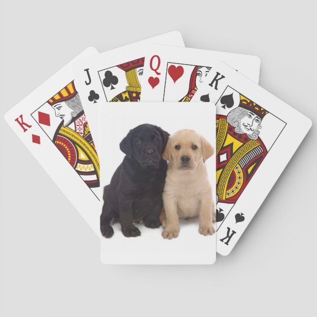 labrador puppies playing cards (Back)