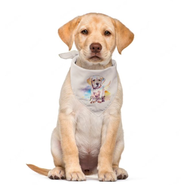 Labrador puppy bandana (Creator Uploaded)