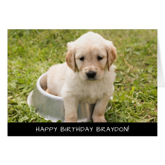 Labrador Puppy Dog Birthday Card (Front Horizontal)