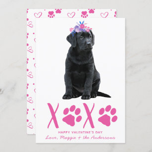 Labrador Puppy Dog XOXO Valentines Day Holiday Card