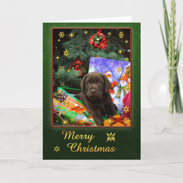 Labrador puppy in christmas mood holiday card (Front)