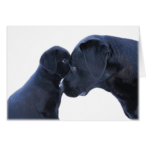 Labrador Puppy Love _ Dog Mom Dad _ Black Lab